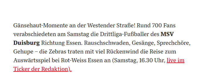 Text aus der WAZ zum Derby-Spalier MSV Duisburg - RW Essen